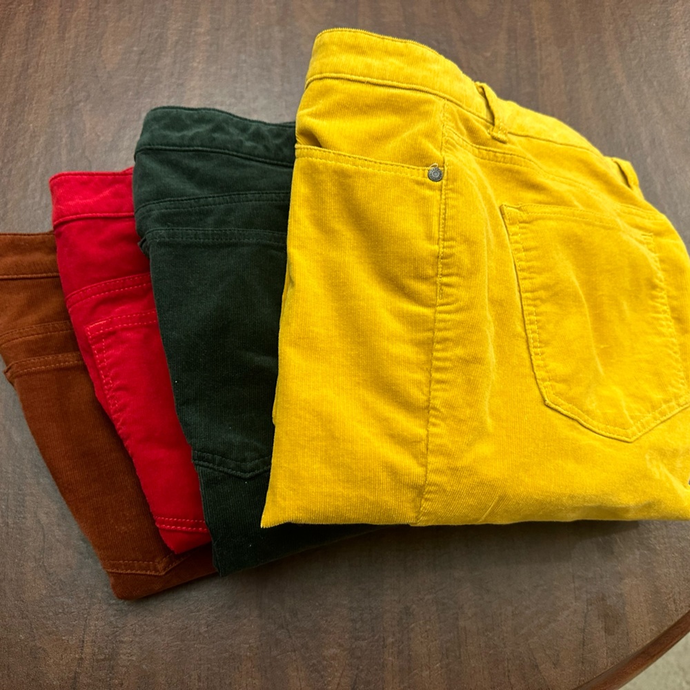Corduroy collection  in rich fall hues